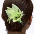 Florals/Feathers
