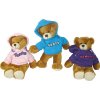 6260 Hoodie Bears