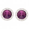 2710 Performance Earrings (17mm)