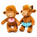 6391 Duke & Daisy Dancing Duo
