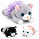 6363 Laydown Cats (Assorted)