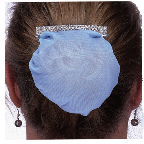 4038 Rhinestone Clip with Snood - Click Image to Close