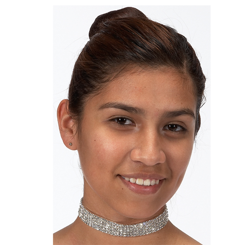 2794 5 Row Stretch Choker - Click Image to Close